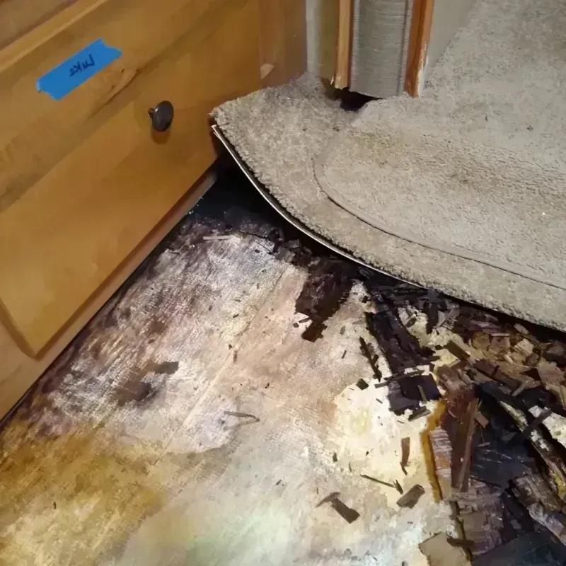 Wood Floor Water Damage in Highlands Ranch, CO